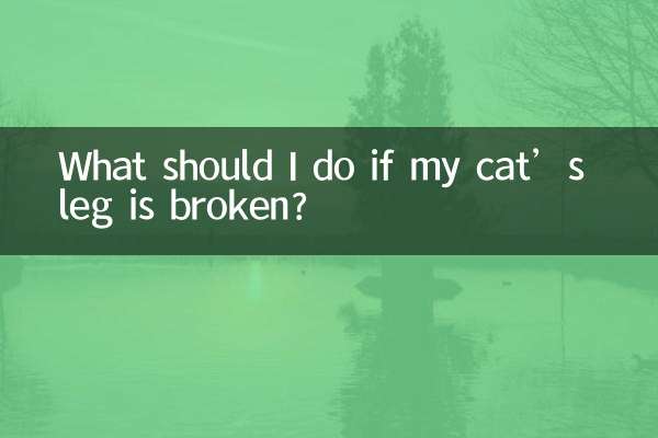 猫の足が折れた場合はどうすればよいですか?