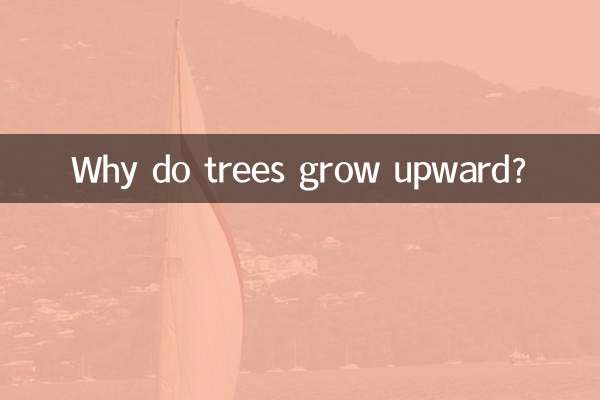 Pourquoi les arbres poussent-ils vers le haut ?
