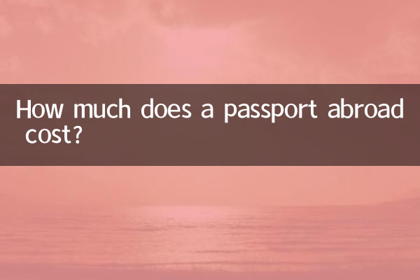 ¿Cuánto cuesta un pasaporte en el extranjero?