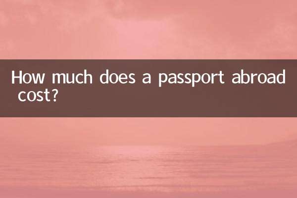 ¿Cuánto cuesta un pasaporte en el extranjero?