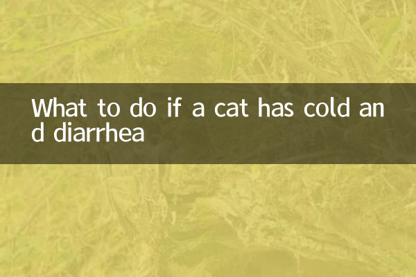 Que faire si un chat a un rhume et de la diarrhée