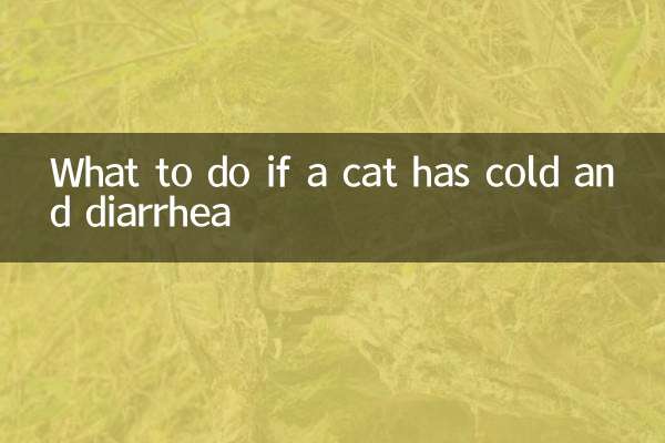 اگر کسی بلی کو سردی اور اسہال ہو تو کیا کریں