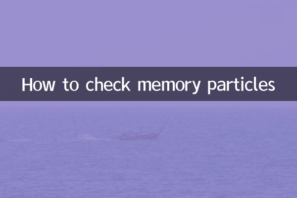 메모리 파티클을 확인하는 방법