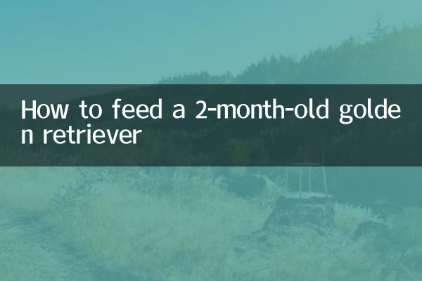 How to feed a 2-month-old golden retriever
