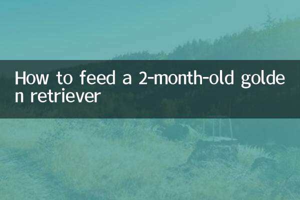 How to feed a 2-month-old golden retriever