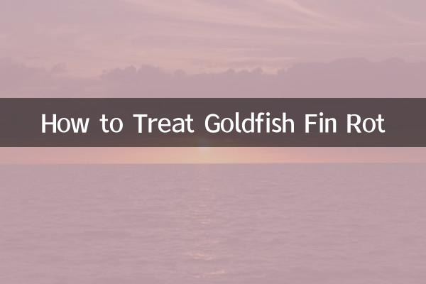 Come trattare la putrefazione delle pinne dei pesci rossi