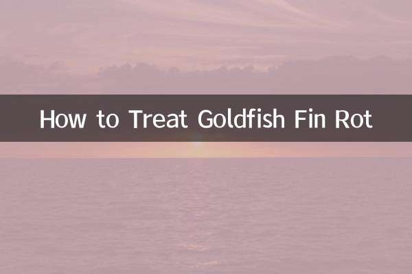 Wie man Goldfischflossenfäule behandelt