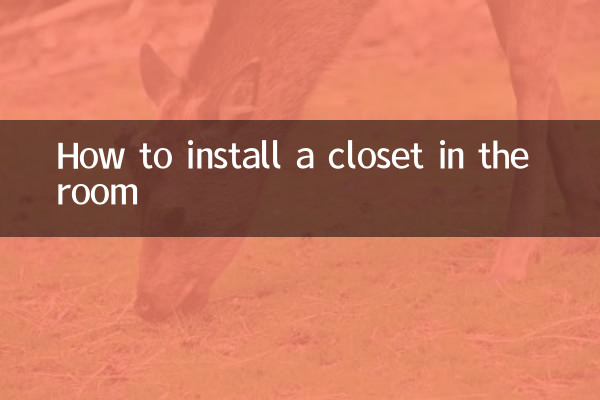 Cómo instalar un armario en la habitación.