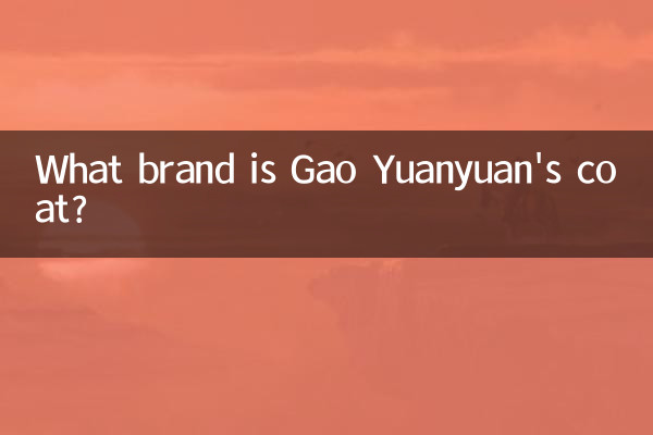 高圓圓大衣什麼牌子