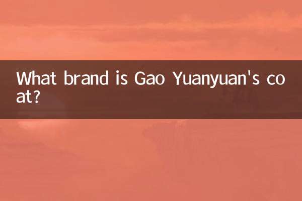 Di che marca è il cappotto di Gao Yuanyuan?