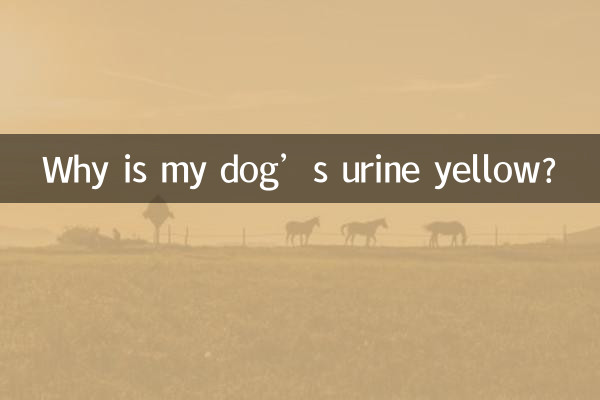 मेरे कुत्ते का मूत्र पीला क्यों है?