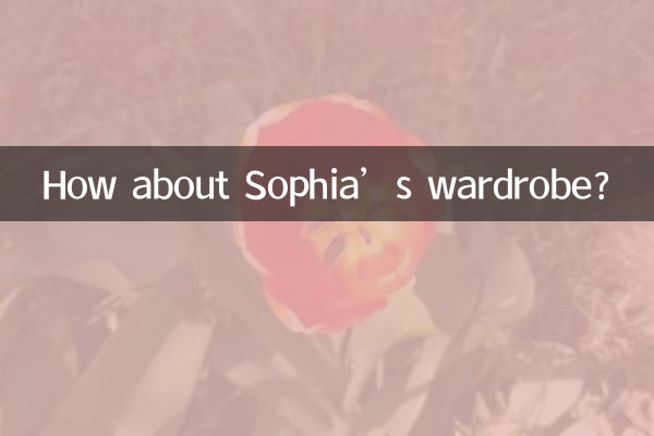Che ne dici del guardaroba di Sophia?