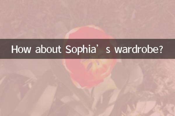 Che ne dici del guardaroba di Sophia?