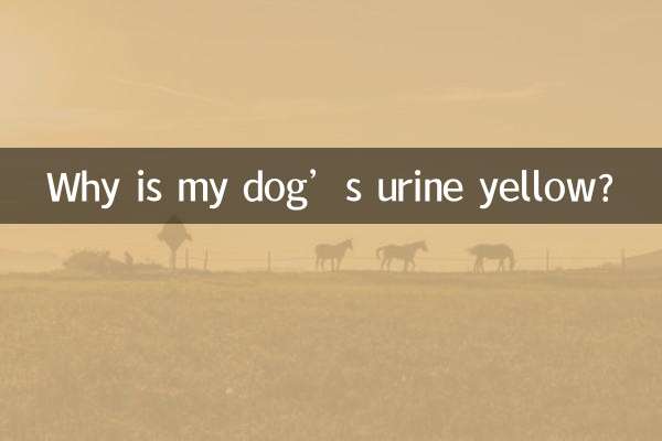 আমার কুকুরের প্রস্রাব হলুদ কেন?