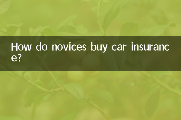 初心者はどうやって自動車保険に加入するのですか？