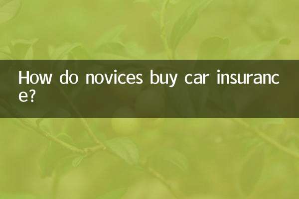 初心者はどうやって自動車保険に加入するのですか？