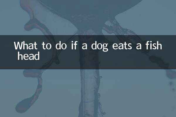 O que fazer se um cachorro comer cabeça de peixe