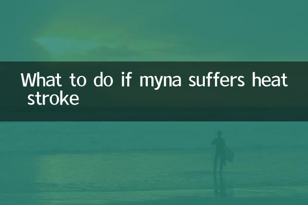 Cosa fare se Myna soffre di un colpo di calore