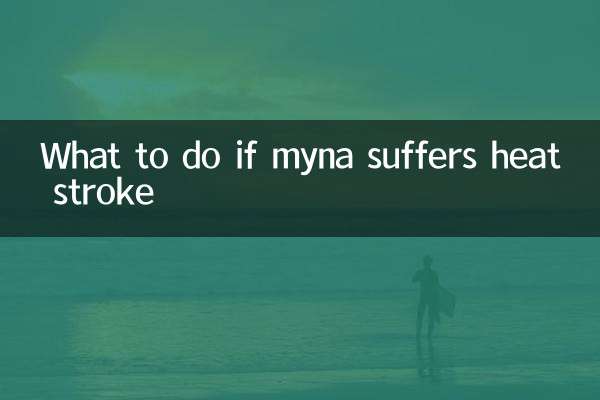 Cosa fare se Myna soffre di un colpo di calore