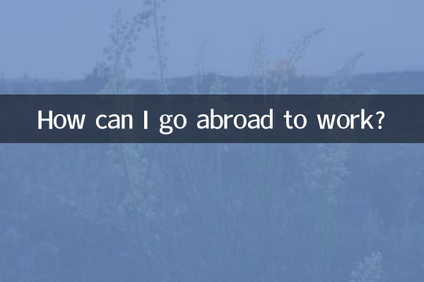 আমি কিভাবে বিদেশে কাজ করতে যেতে পারি?