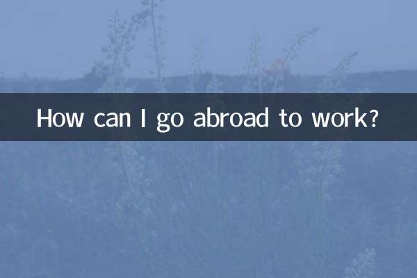 আমি কিভাবে বিদেশে কাজ করতে যেতে পারি?