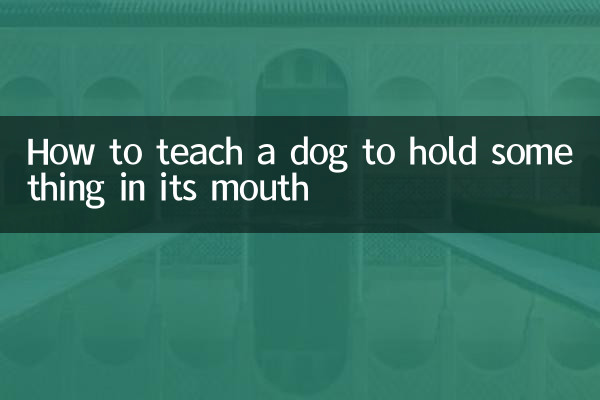 Wie man einem Hund beibringt, etwas im Maul zu halten