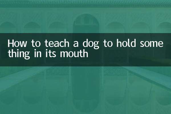 Wie man einem Hund beibringt, etwas im Maul zu halten