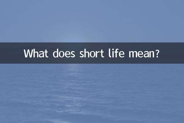 Was bedeutet kurzes Leben?