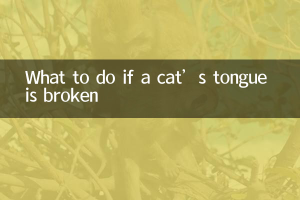 Что делать, если у кошки сломан язык