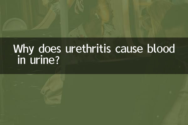요도염으로 인해 소변에 피가 섞이는 이유는 무엇입니까?