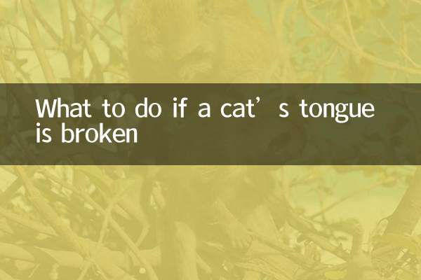 Что делать, если у кошки сломан язык