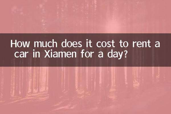 샤먼에서 하루 동안 렌터카를 빌리는 데 드는 비용은 얼마입니까?