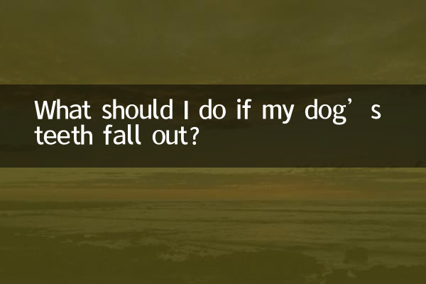 ماذا علي أن أفعل إذا سقطت أسنان كلبي؟