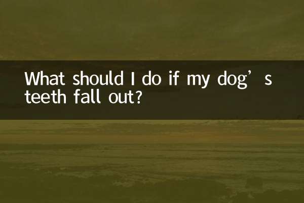 ماذا علي أن أفعل إذا سقطت أسنان كلبي؟