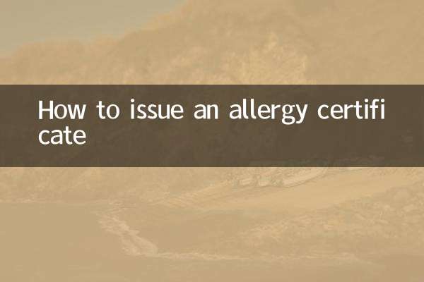 알레르기 증명서 발급 방법