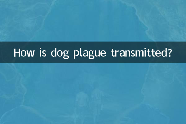 कुत्ते में प्लेग कैसे फैलता है?