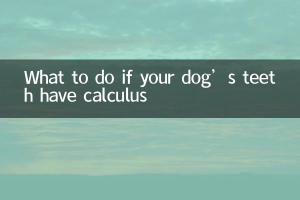 اگر آپ کے کتے کے دانت کیلکولس رکھتے ہیں تو کیا کریں