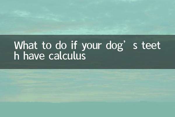 আপনার কুকুরের দাঁতে ক্যালকুলাস থাকলে কী করবেন