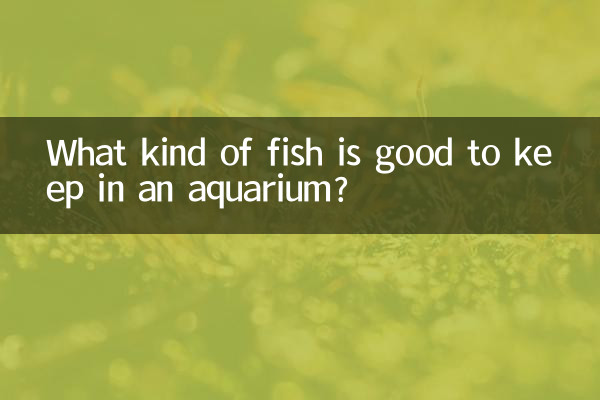 水族館で飼うのに適した魚は何ですか?