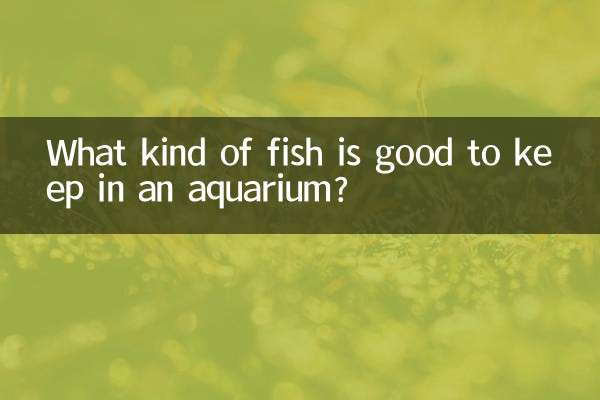 水族館で飼うのに適した魚は何ですか?