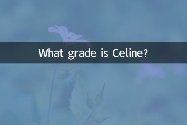 セリーヌって何級ですか？