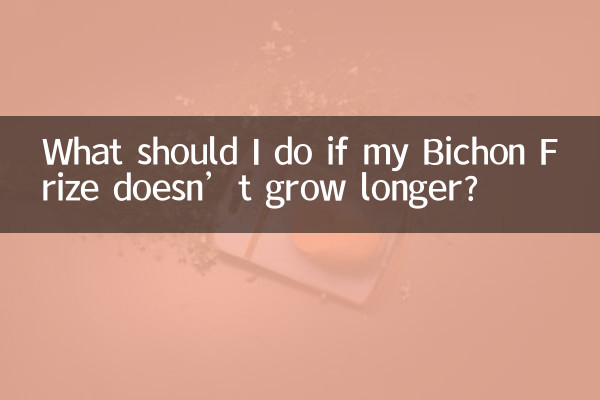 ماذا علي أن أفعل إذا لم ينمو Bichon Frize لفترة أطول؟