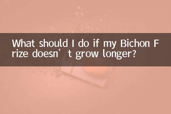 比熊不长怎么办