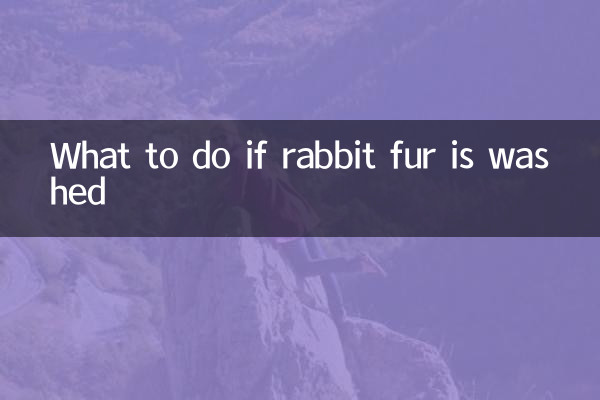 ウサギの毛皮を洗った場合の対処方法
