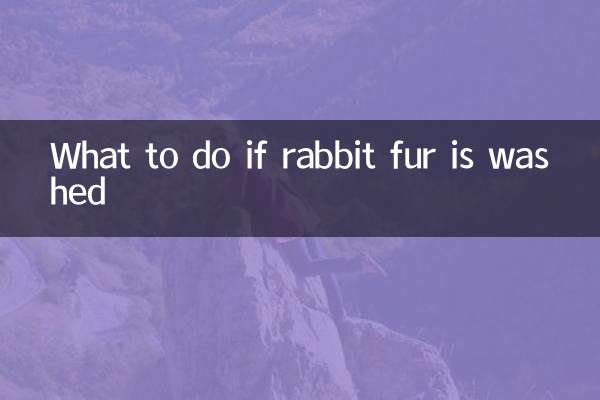 토끼털을 세탁한 경우 대처 방법