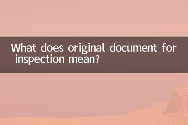 検査用原本とはどういう意味ですか？