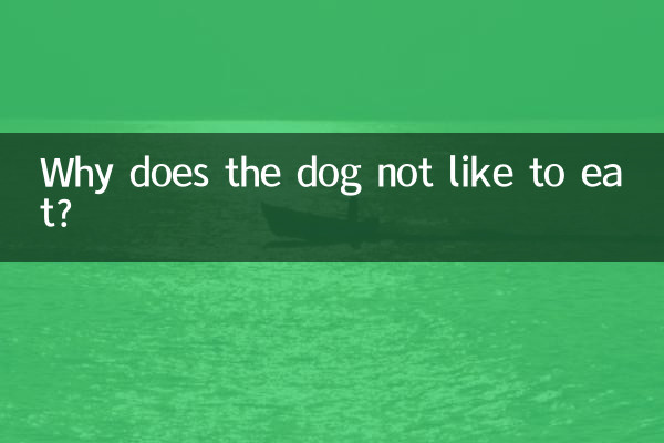 Por que o cachorro não gosta de comer?