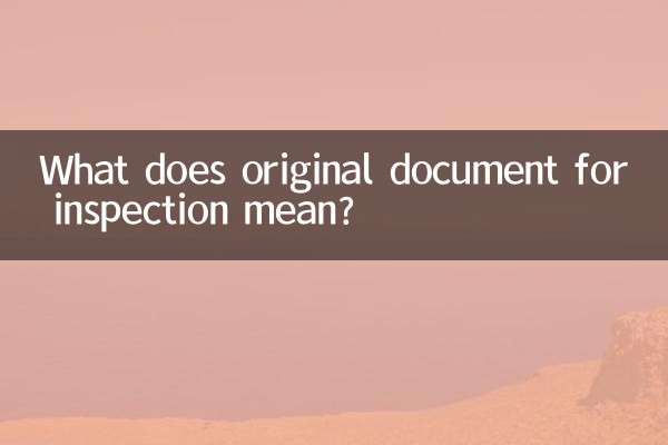 検査用原本とはどういう意味ですか？