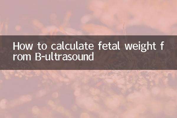 看b超單怎麼算胎兒體重