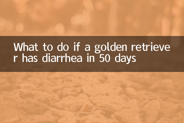 Cosa fare se un golden retriever ha la diarrea entro 50 giorni